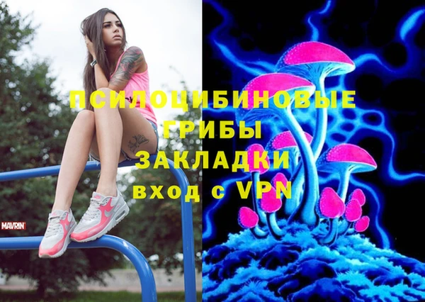 бошки Нягань
