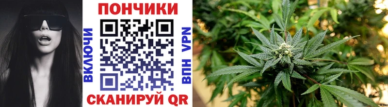 Канабис SATIVA & INDICA  где найти наркотики  Яровое 